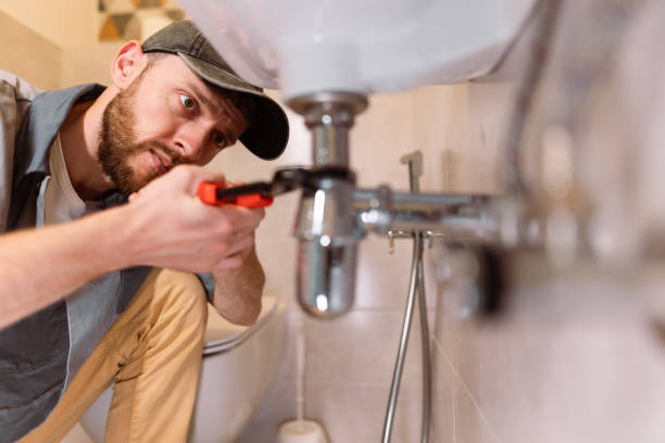 Best Commercial Plumbing Services  in Blue Earth, MN